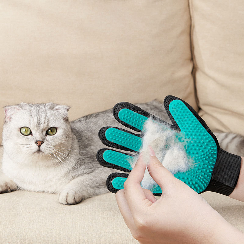 Luva de Higiene para Pets, Luv - Rubber Glove Cleaning avaliação e preço